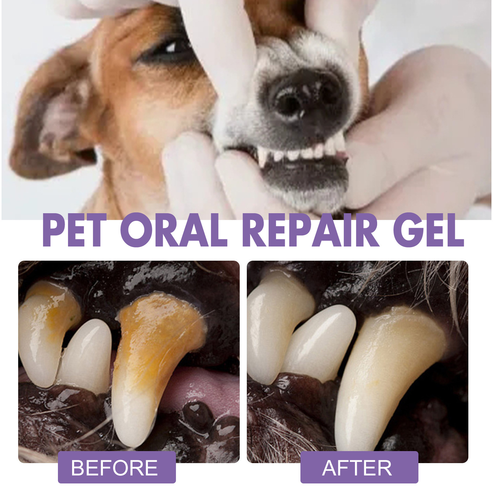 Гель для восстановления полост – обзор и цена Teeth Whitening Gum